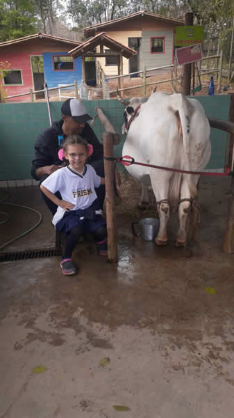 Bicho Mania 2022